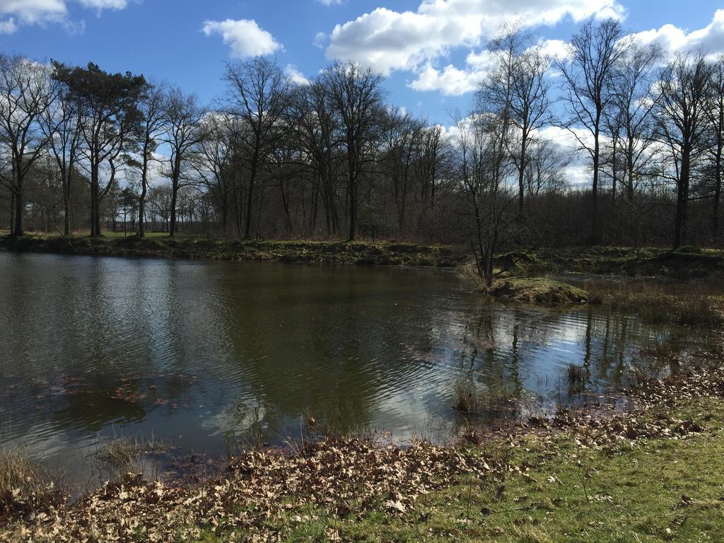 'T Vosseven Vakantiehuizen Stramproy Exterior foto