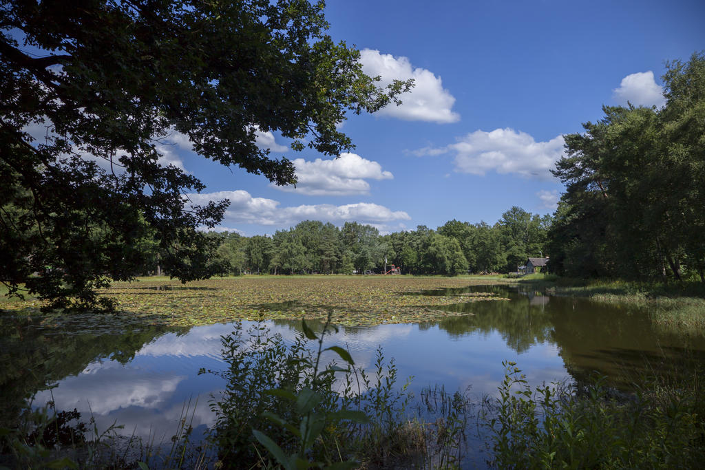 'T Vosseven Vakantiehuizen Stramproy Exterior foto
